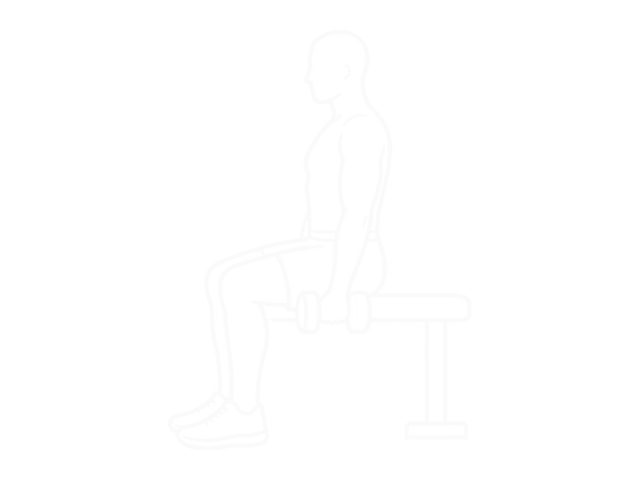 Seated Dumbbell Curl — Start