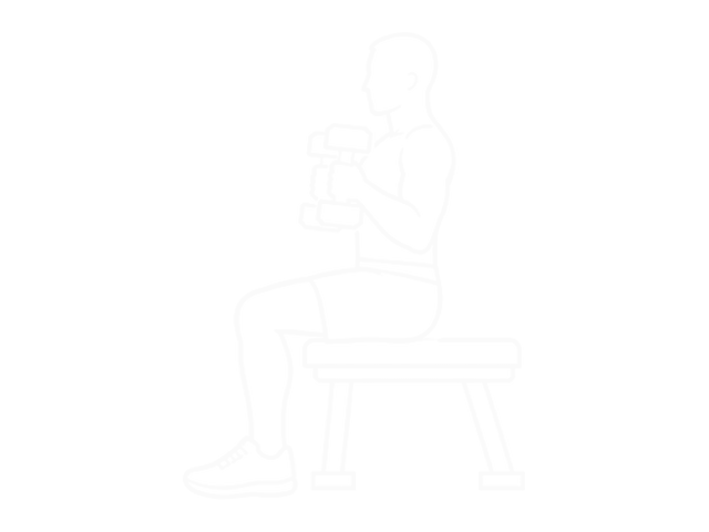 Seated Dumbbell Hammer Curl — 끝