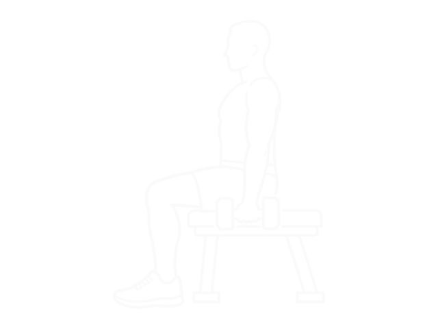 Seated Dumbbell Hammer Curl — 시작