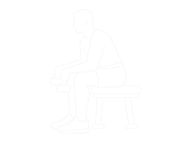 Seated Dumbbell Neutral Wrist Curl — Start