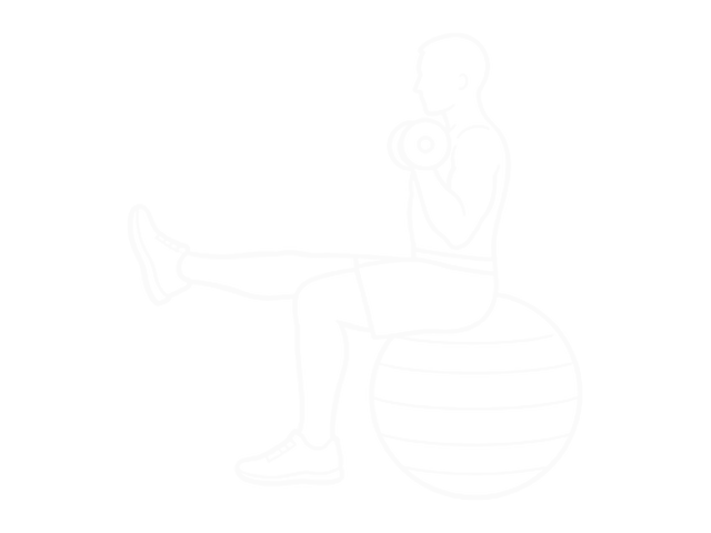 Seated One-Arm Dumbbell Biceps Curl on Exercise Ball with Leg Raised — End