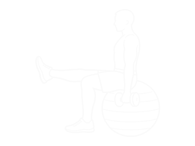 Seated One-Arm Dumbbell Biceps Curl on Exercise Ball with Leg Raised — Start