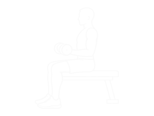 Seated One-Arm Dumbbell Rotate — 시작