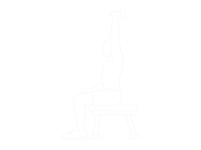 Seated Dumbbell Reverse-Grip One-Arm Overhead Triceps Extension — 끝