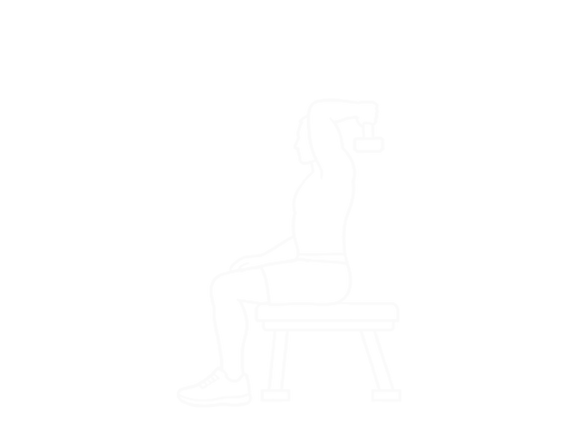 Seated Dumbbell Reverse-Grip One-Arm Overhead Triceps Extension — 시작