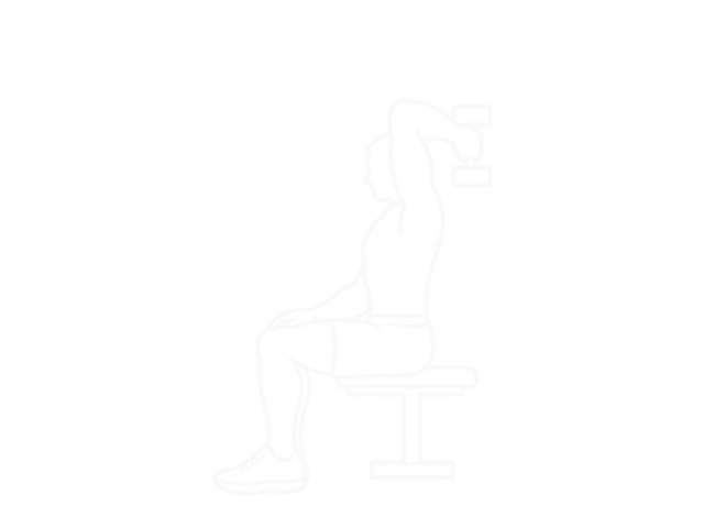 Seated Dumbbell Triceps Extension — Start