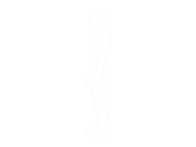 Dumbbell Shrug — End
