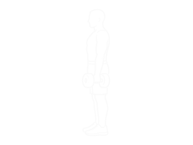 Dumbbell Shrug — Start