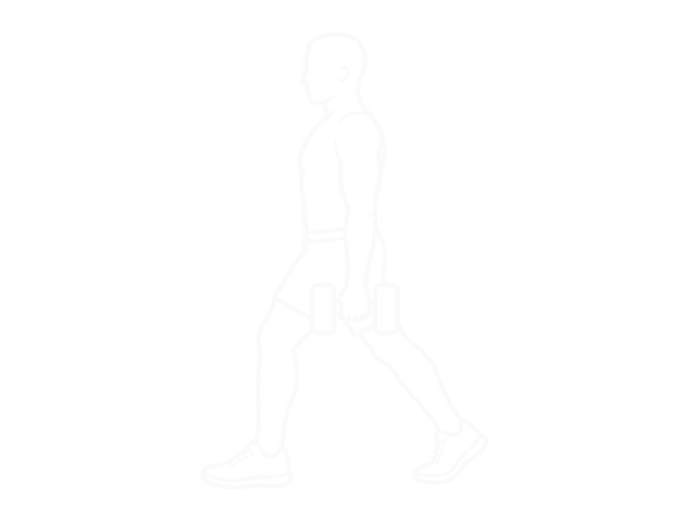 Dumbbell Split Squat — Start