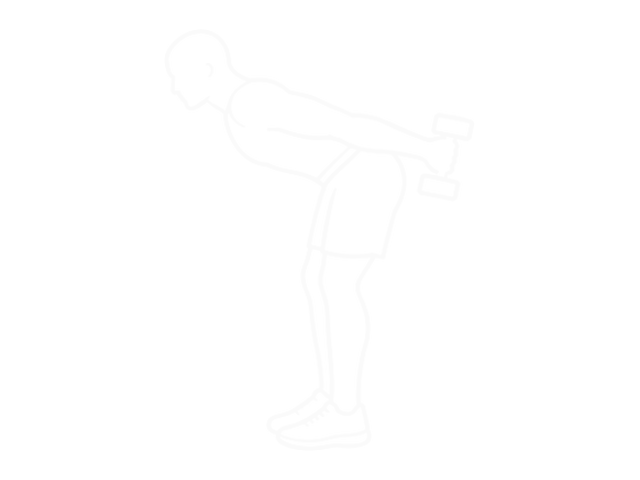 Standing Dumbbell Bent Over Two-Arm Triceps Extension — End