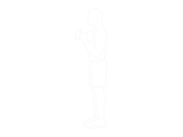 Standing Dumbbell Biceps Curl — End