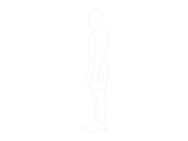 Standing Dumbbell Concentration Curl — Start
