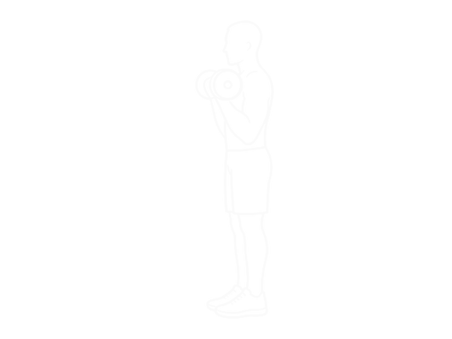 Standing Dumbbell Inner Biceps Curl — End