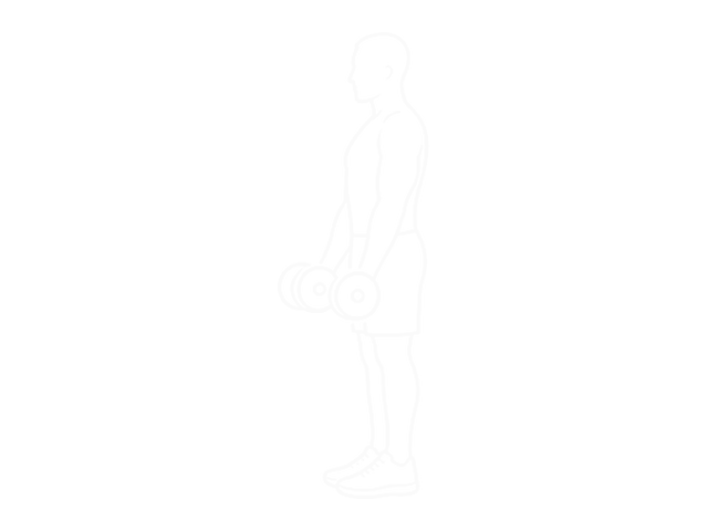 Standing Dumbbell Inner Biceps Curl — Start