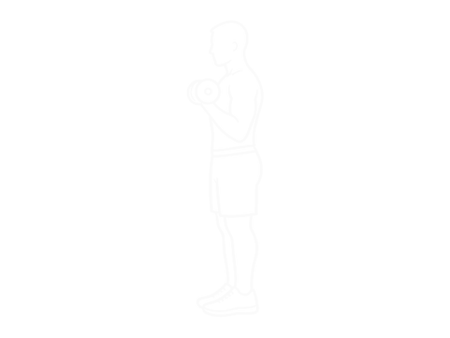 Standing One-Arm Dumbbell Concentration Curl — 끝