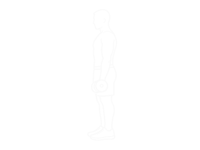 Standing One-Arm Dumbbell Concentration Curl — 시작