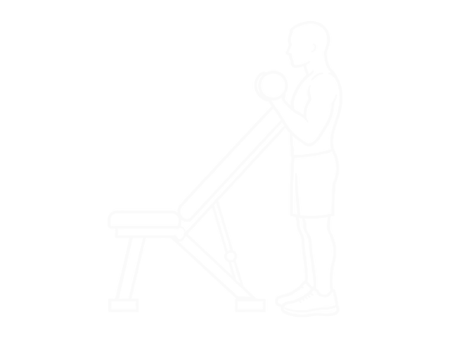 Standing One-Arm Dumbbell Curl (Over Incline Bench) — End