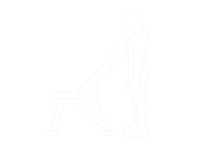Standing One-Arm Dumbbell Curl (Over Incline Bench) — Start