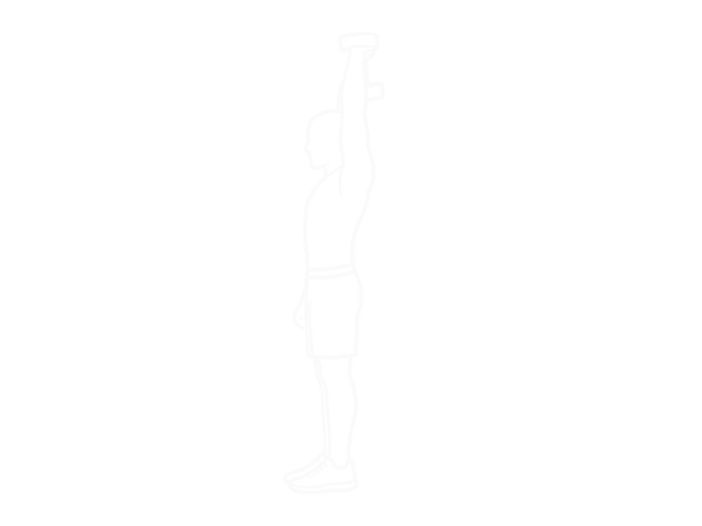 Standing One-Arm Dumbbell Extension — 끝