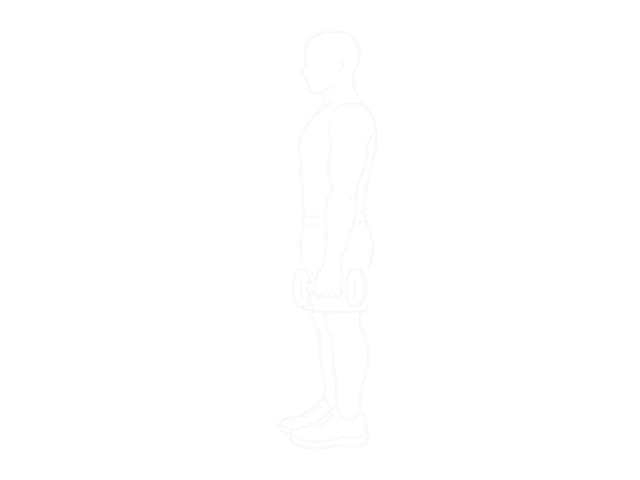 Standing One-Arm Dumbbell Reverse Curl — Start