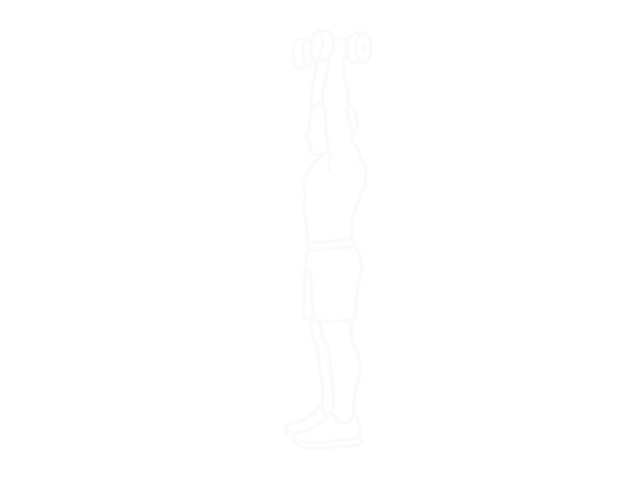 Standing Dumbbell Palms in Press — 끝