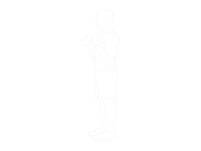 Standing Dumbbell Reverse Curl — 끝