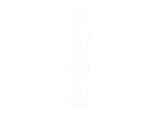 Standing Dumbbell Reverse Curl — 시작