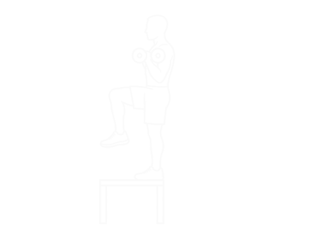 Dumbbell Step-Up Curl — End