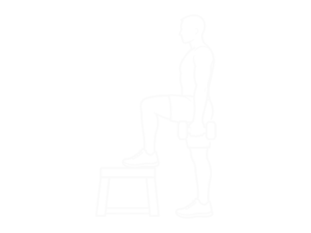 Dumbbell Step-Up Lunge — 끝