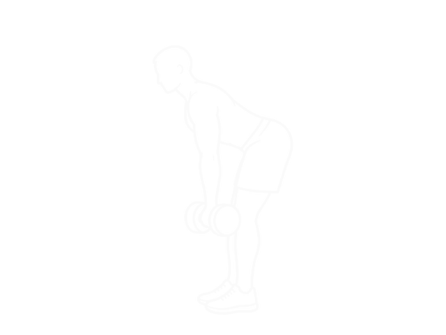Dumbbell Stiff Leg Deadlift — End