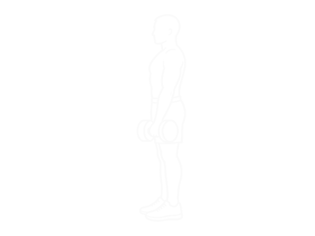 Dumbbell Stiff Leg Deadlift — Start