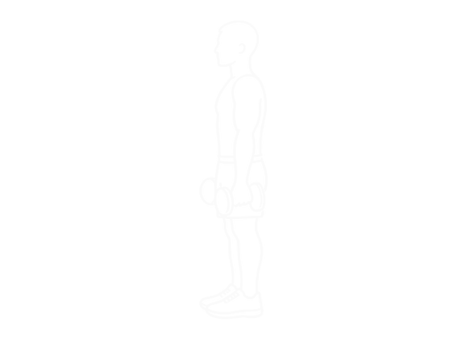 Dumbbell Zottman Curl — Start