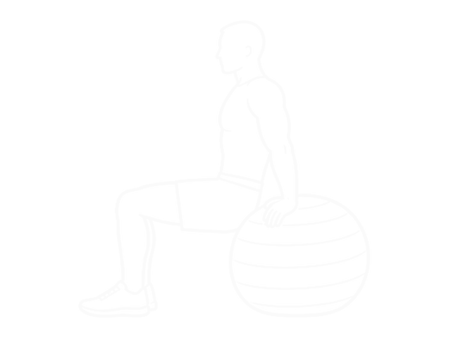 Exercise Ball Dip — 시작