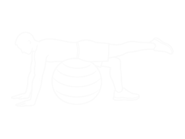 Exercise Ball One-Leg Prone Lower Body Rotation — Start