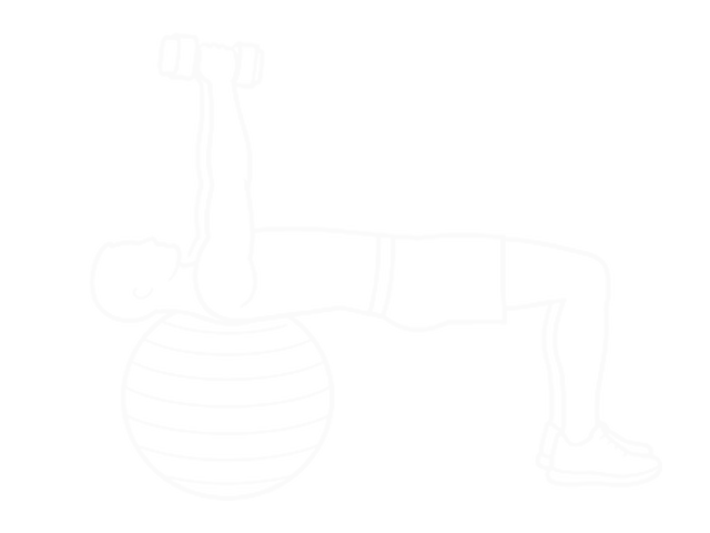 Exercise Ball Supine Triceps Extension — Start