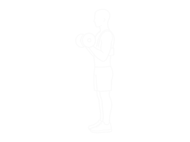 EZ-Bar Biceps Curl (With Arm Blaster) — 끝