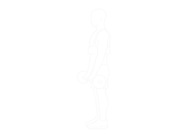 EZ-Bar Biceps Curl (With Arm Blaster) — 시작