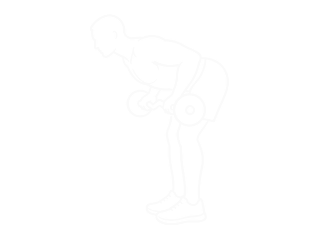 EZ Bar Reverse-Grip Bent Over Row — End