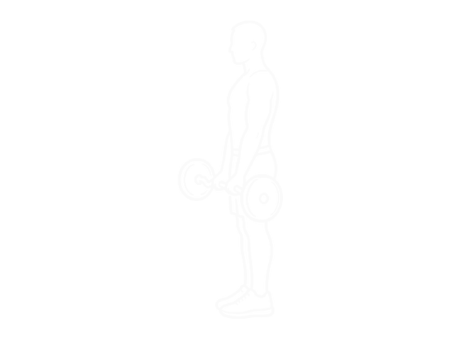 EZ Barbell Close-Grip Curl — Start