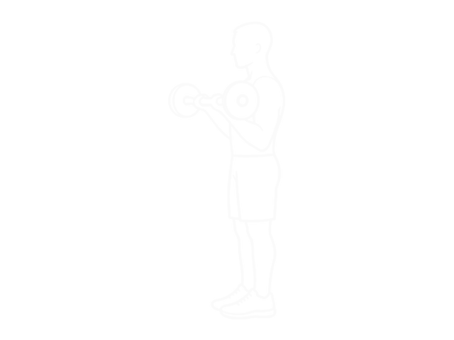 EZ Barbell Curl — 끝