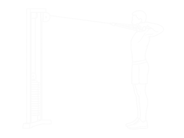 Face Pull — End
