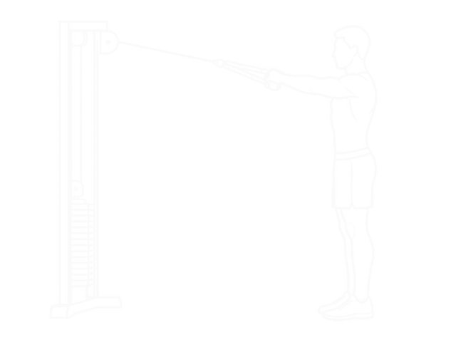 Face Pull — Start