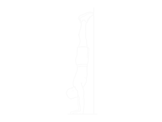 Handstand Push-Up — Start