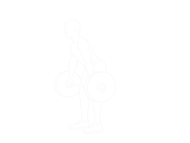 Hang Snatch — Start