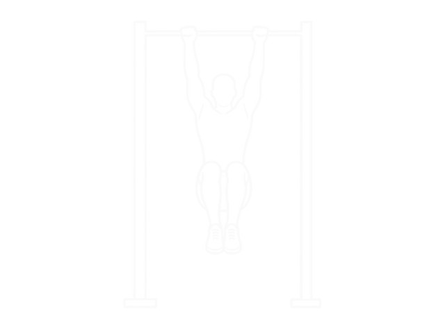 Hanging Knee Raise — 끝