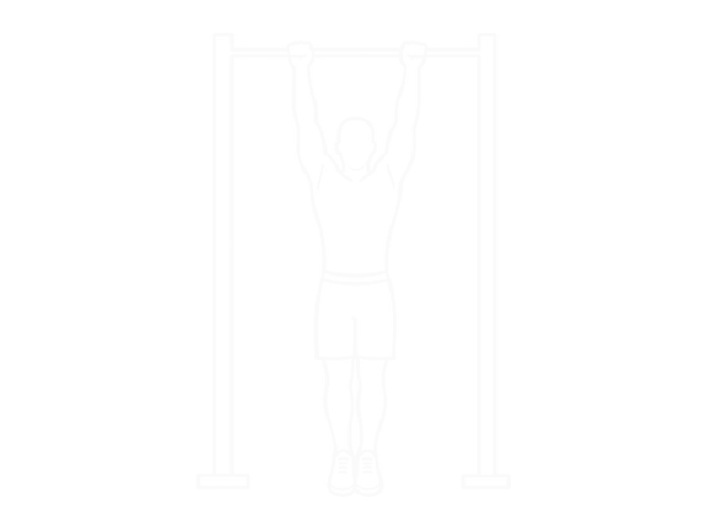 Hanging Knee Raise — 시작