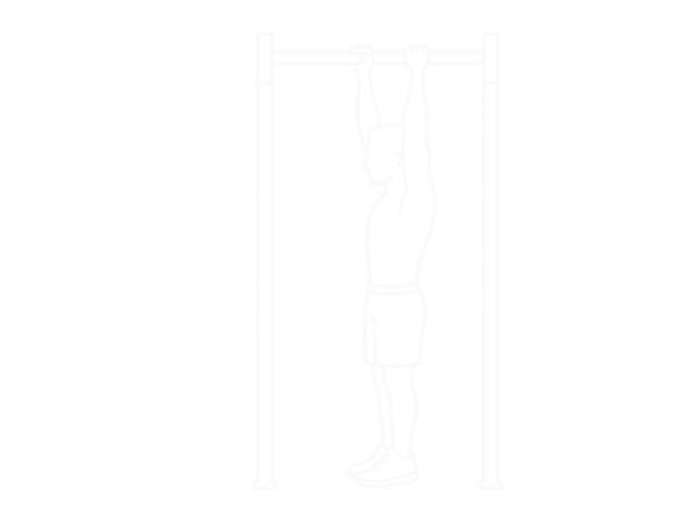 Hanging Straight Leg Hip Raise — 시작