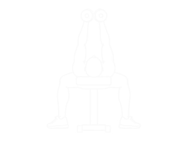Hyght Dumbbell Fly — Start