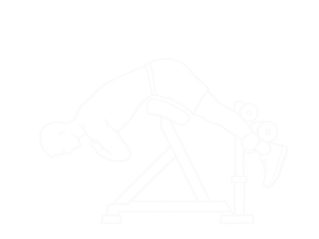 Hyperextension (On Bench) — Start