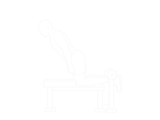 Inverse Leg Curl (Bench Support) — End